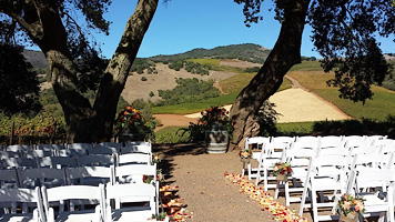 Sonoma wine country